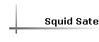 Squid Sate